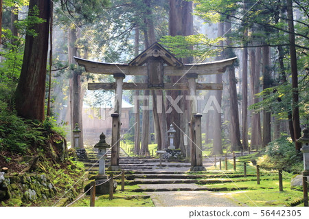 Hiraizumi-ji Hakusan Shrine / Hakusan National Park [Hiraizumi-ji-cho, Katsuyama City, Fukui Prefecture] 56442305