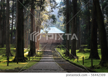 Hiraizumi Hakusan Shrine [福井縣胜山平平町] 56442309