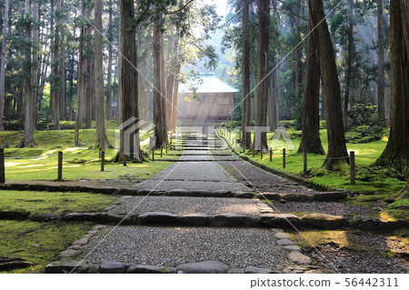 Hiraizumi Hakusan Shrine [福井縣胜山平平町] 56442311