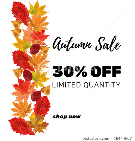 Autumn sale banner template. Colorful fall leaves 56444607