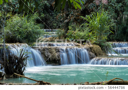 Tat Kuang Si waterfalls near Luang Prabang, Laos 56444786