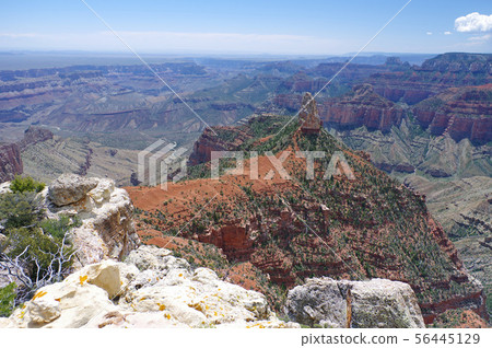 Grand Canyon No Slim (Imperial Point) 56445129