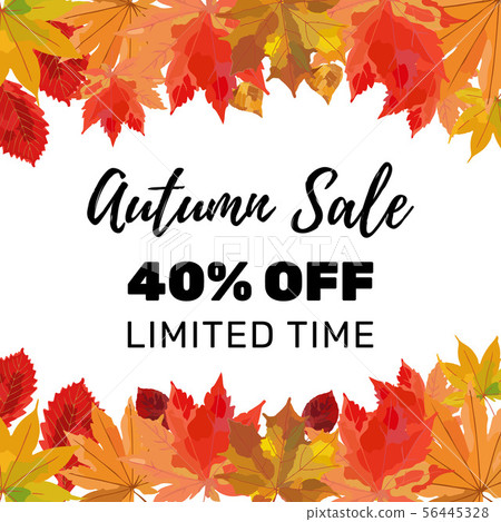 Autumn sale banner template. Colorful fall leaves 56445328