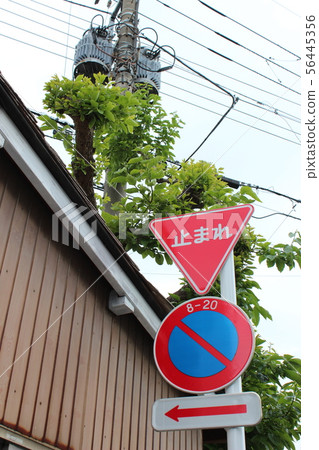 道路標誌臨時停止，停車禁止，結束 56445356