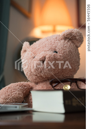 律師熊圖像素材 56445506