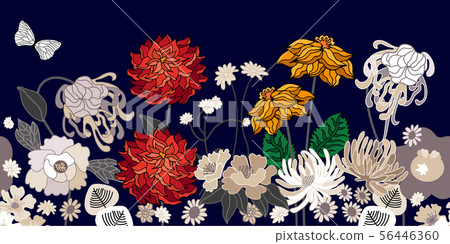 Vintage border with dahlias and asters.  56446360