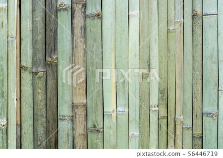 Abstract background from green bamboo pattern on Abstract background from green bamboo pattern on 56446719