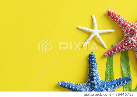 Colorful starfishes on yellow background with free 56446752