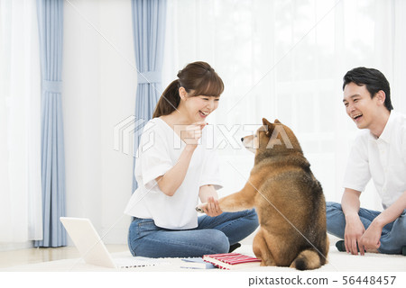 年輕夫婦和shiba inu 56448457