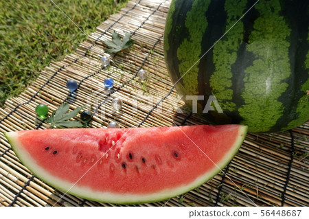 watermelon   56448687