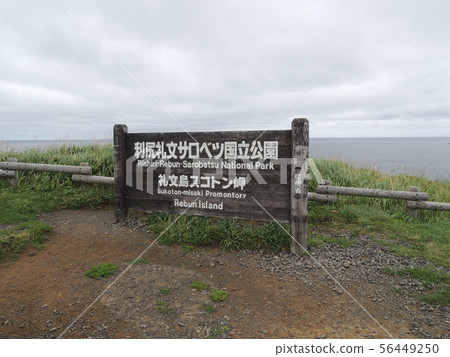 Rebunjima Scotton Cape 56449250