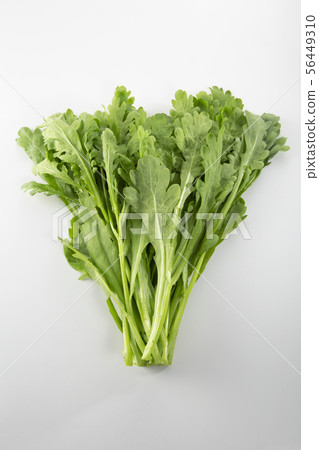 Shanda Shanda 56449310