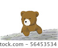 Bear 56453534