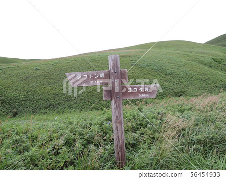 禮文島徒步旅行 禮文島徒步旅行 56454933