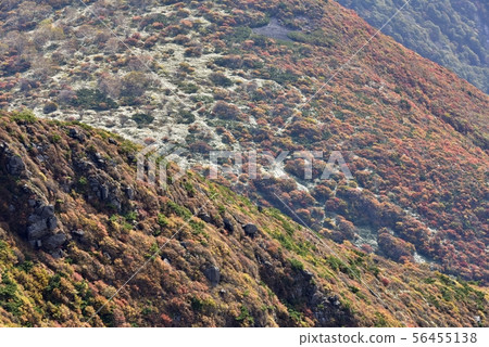 Nasu mountain range, mountainside of autumn leaves from Mt. Asahi Nasu mountain range, mountainside of autumn leaves from Mt. Asahi 56455138