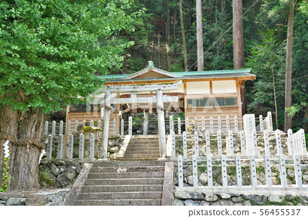 [Nyu Shrine] Ohikawa, Nishiyoshino Town, Gojo City, Nara Prefecture 56455537