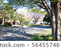 Higashikanagawa周圍的公園的照片 56455746