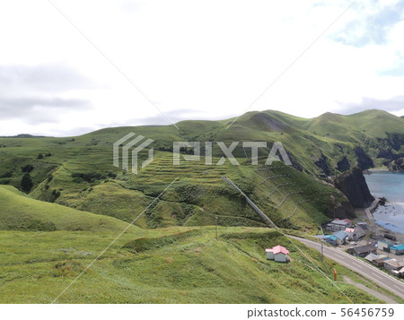 禮文島徒步旅行 禮文島徒步旅行 56456759