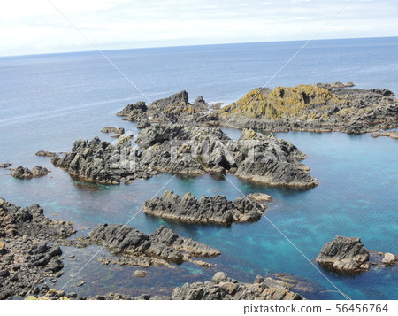 禮文島徒步旅行 禮文島徒步旅行 56456764