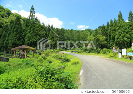 前往Karikoike Pond [大野市小野市，小池公園P] 56460695