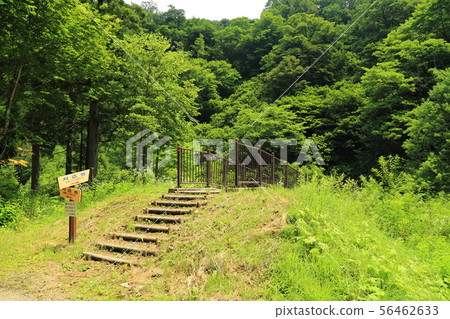 To Karikome Pond [Ono City, Fukui Prefecture, Hakusan National Park] 56462633
