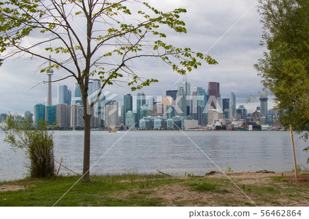 Toronto Skyline Toronto Skyline 56462864