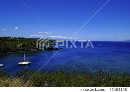 Honolua Bay,夏威夷毛伊島 Honolua Bay,夏威夷毛伊島 56463198