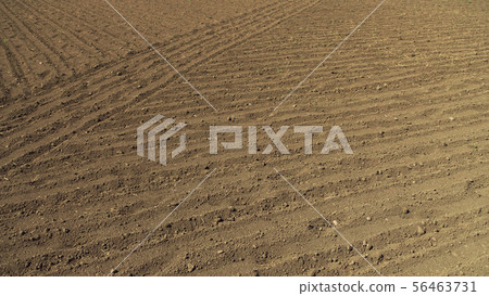 Agricultural image (field, black soil) Agricultural image (field, black soil) 56463731