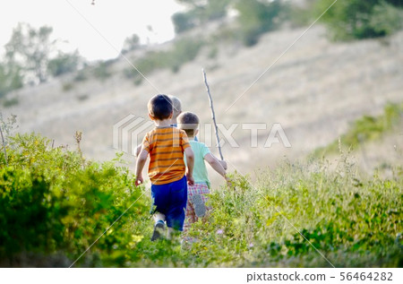 Children in the summer run  in the tall grass. 56464282