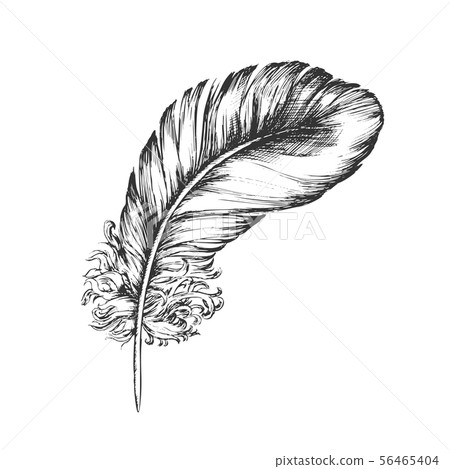 Decorative Bird Flying Element Feather Ink Vector 56465404