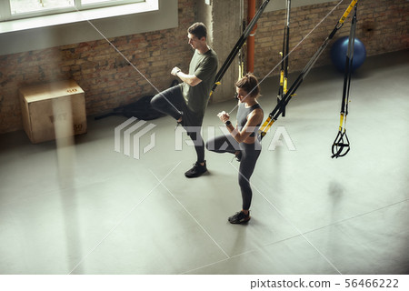 Exercising together. Young active couple in sportswear training legs with Trx fitness straps at gym. 56466222