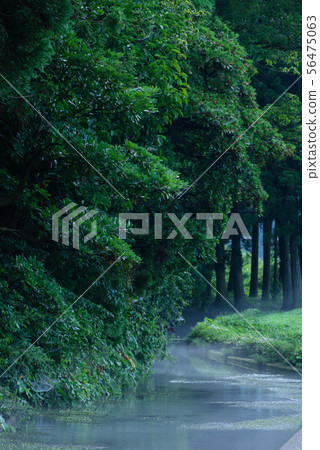 Ushidogawa Ushidogawa 56475063