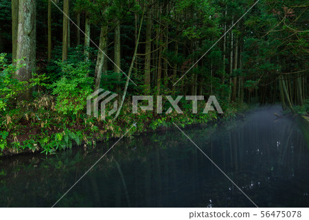 Ushidogawa Ushidogawa 56475078