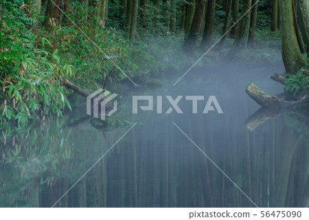 Ushidogawa Ushidogawa 56475090