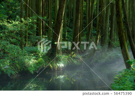 Ushiwata河 Ushiwata河 56475390