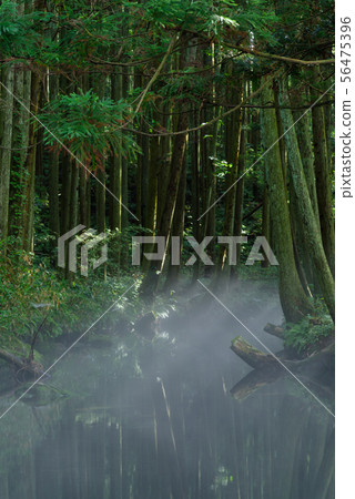 Ushidogawa Ushidogawa 56475396