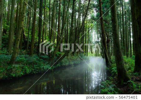 Ushidogawa Ushidogawa 56475401