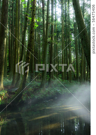 Ushiwata河 56475406