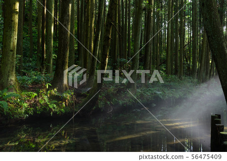 Ushidogawa Ushidogawa 56475409