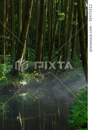 Ushidogawa Ushidogawa 56475412