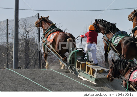 Obihiro Banei賽馬 56480512