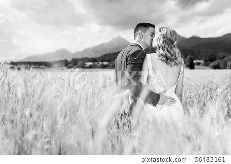 Bride and groom kissing and hugging tenderly in wheat field somewhere in Slovenian countryside. 56483161