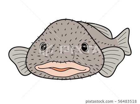 Ugly Blobfish Logo Design 8214047 Vector Art at Vecteezy