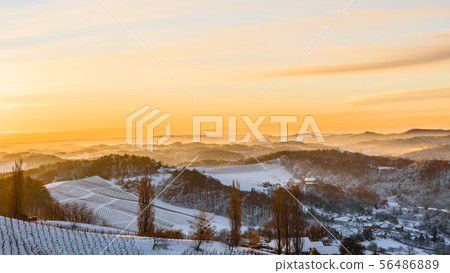 View over the the vineyards an the foggy valleys 56486889