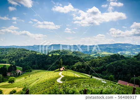 Famous Heart shaped wine road in Austria 56486917