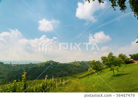 Austria Vineyards vine street south Styria travel 56487479