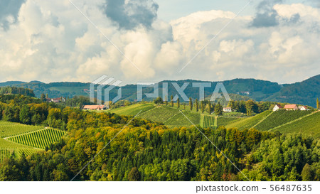 Austria Vineyards Leibnitz area south Styria 56487635
