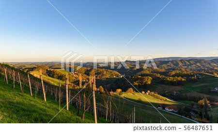 View over the the vineyards an the foggy valleys 56487651