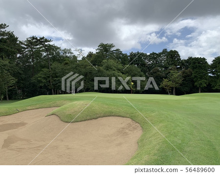Golf course in Chiba Golf course in Chiba 56489600