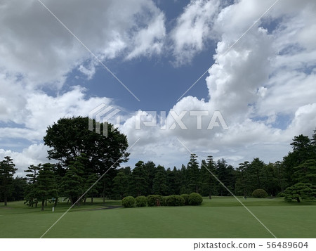 Golf course in Chiba 56489604